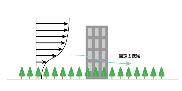 植栽による防風対策イメージ