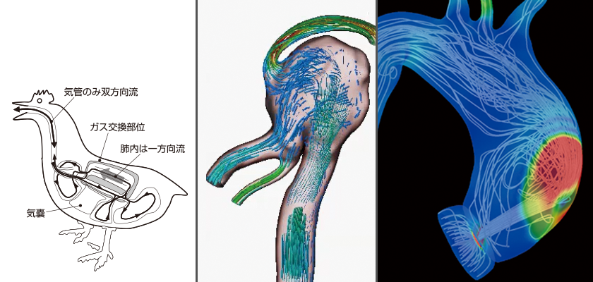 近畿大学 農学部 様