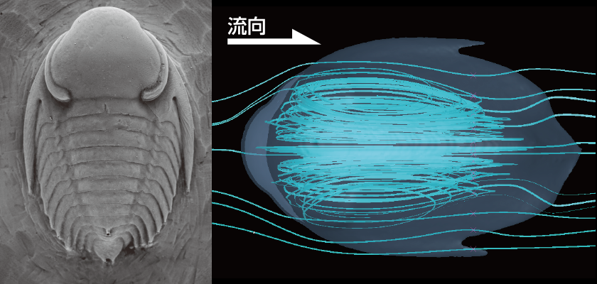 芝浦工業大学 様